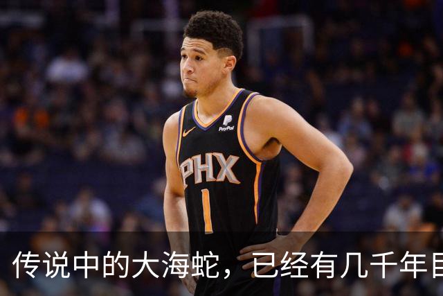 传说中的大海蛇，已经有几千年目击记录，为什么没留下化石？